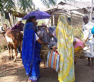 Bullock cart to carry a patient