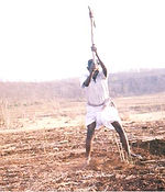 Success stories: a man working his field with a pickaxe
