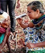 Photo gallery: checking a patient's eyes in the middle of a farm