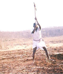 Success stories: a man working his field with a pickaxe